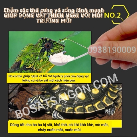 Sản phẩm hỗ trợ tri phổi cho rùa nước GYP G-13 và vấn đề liên quan đến đường hô hấp ở rùa nước (Hàng Cty)