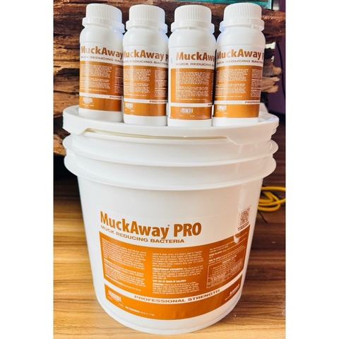 Vi sinh dị dưỡng MuckAway Pro | Viên vi sinh phân huỷ phân cá, mùn bã và chất thải cho bể cá (Hàng Công Ty)