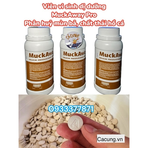 Vi sinh dị dưỡng MuckAway Pro | Viên vi sinh phân huỷ phân cá, mùn bã và chất thải cho bể cá (Hàng Công Ty)