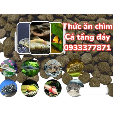 Thức Ăn Cá Chuột, Pleco, Cá Tầng Đáy Chuyên Dụng - Cám Hạt Chìm Cá Khoẻ, Háu Ăn (Hàng Công Ty)