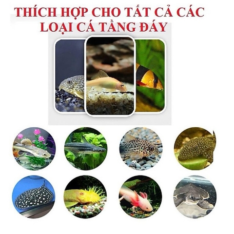 Thức Ăn Cá Chuột, Pleco, Cá Tầng Đáy Chuyên Dụng - Cám Hạt Chìm Cá Khoẻ, Háu Ăn (Hàng Công Ty)