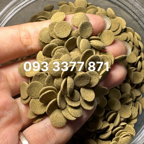 Thức Ăn Cá Chuột, Pleco, Cá Tầng Đáy Chuyên Dụng - Cám Hạt Chìm Cá Khoẻ, Háu Ăn (Hàng Công Ty)