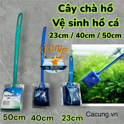 Lau Kính Hồ Cá - Cây Chà Hồ Xanh | Cọ Bể Bằng Mút Bọt Biển Dùng Vệ Sinh Bể Cá Cảnh (Hàng Loại 1)