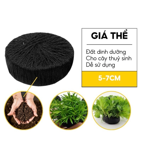 Giá Đỡ Cây Thủy Sinh Mica - Vỉ Acrylic Trồng Cây Thủy Sinh - Tấm Nâng Acrylic | Giá Thể Ươm Cây