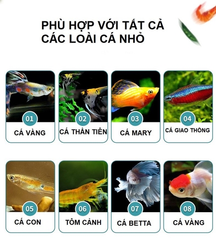 Thức ăn cá BESSN GrainFish | Cám cá 7 màu | Cám cá Betta | Cám cá nhỏ giàu dinh dưỡng (Hàng Cty)