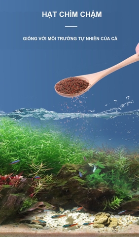 Thức ăn cá BESSN GrainFish | Cám cá 7 màu | Cám cá Betta | Cám cá nhỏ giàu dinh dưỡng (Hàng Cty)