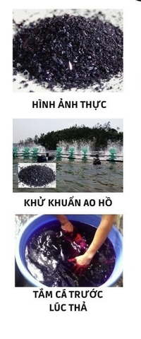 Thuốc Tím Tinh Khiết KMnO4 - Bột Tím khử trùng, tắm cá, sát khuẩn hồ cá cảnh (Hàng Công Ty)
