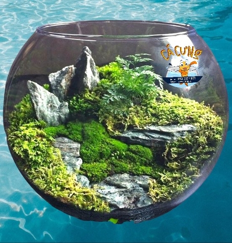 Bột Rêu Mịn, Bột Cỏ nhân tạo - Trang trí tiểu cảnh đá rêu giả, terrarium, layout hồ cá (Hàng Loại 1)