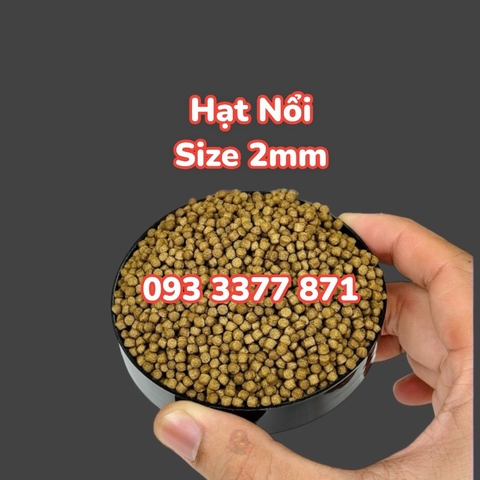 Cám Mega Jumbo Chép Sư Tử - Thức ăn cao cấp chuyên cho cá chép sư tử - Hạt Nổi (Hàng Công Ty)