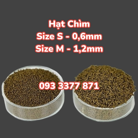 Thức ăn cá Mega Jumbo Cá Vàng | Cám Mega Jumbo Hạt Chìm chuyên vỗ béo cho Cá Vàng (Hàng Công Ty)