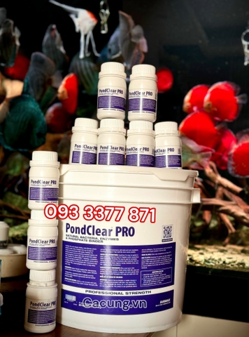 PondClear PRO (Hộp 250g) - Vi Sinh phân hủy mùn bả hữu cơ, làm trong nước cho hồ cá (Hàng Công Ty)