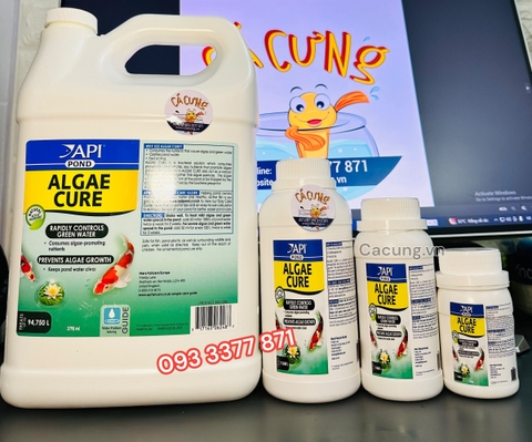 API ALGAE CURE POND - Vi Sinh phân huỷ phân cá, tảo, làm trong nước, giảm bụi cực nhanh (HÀNG CTY)