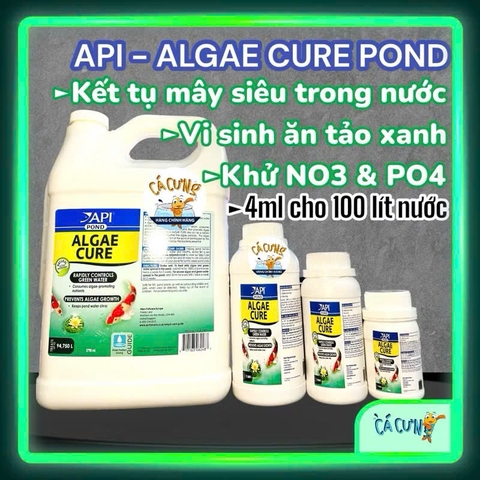 API ALGAE CURE POND - Vi Sinh phân huỷ phân cá, tảo, làm trong nước, giảm bụi cực nhanh (HÀNG CTY)