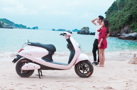 XE MÁY ĐIỆN DIBAO BUTTERFLY