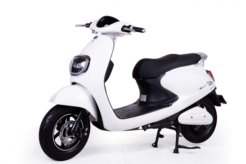 XE MÁY ĐIỆN DIBAO BUTTERFLY