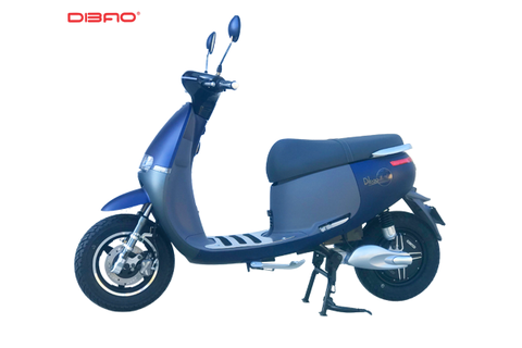 XE MÁY ĐIỆN DIBAO GOGO SS 2021 CÀNG ĐÚC (S3)