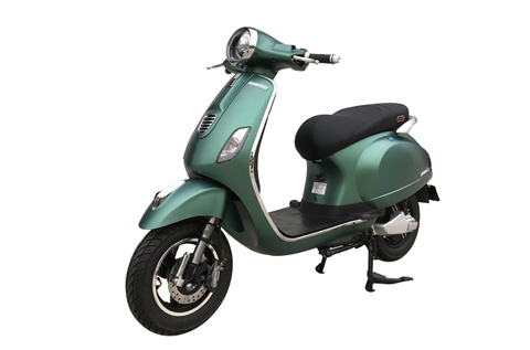 XE MÁY ĐIỆN DIBAO PANSY S