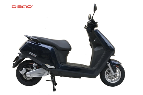 XE MÁY ĐIỆN DIBAO R1