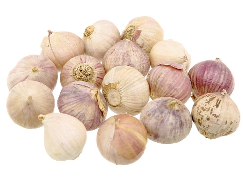 TỎI CÔ ĐƠN