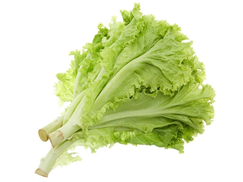 XÀ LÁCH LOLLO XANH TFH GÓI 300G