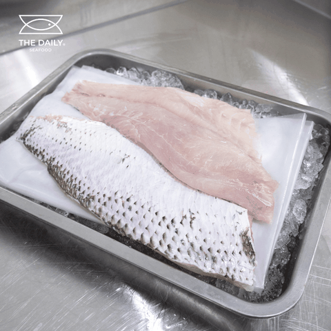 CÁ GÁY FILLET