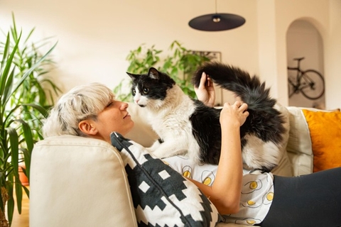 Bí Quyết Chăm Sóc Thú Cưng Cho Người Bận Rộn – Vẫn Yêu Thương Đúng Cách