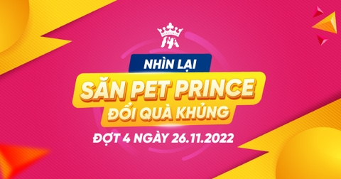 NHÌN LẠI “SĂN PET PRINCE – ĐỔI QUÀ KHỦNG” ĐỢT 4 NGÀY 26/11/2022