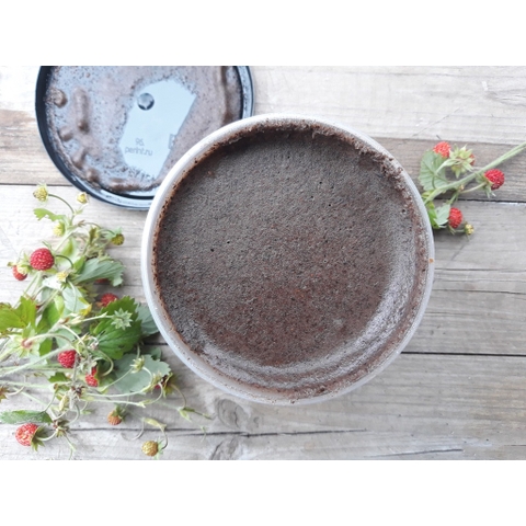 [BẢN NGA] Tẩy tế bào chết Body Cafe Organic Shop 250ml