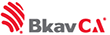 Công ty CP BKAV