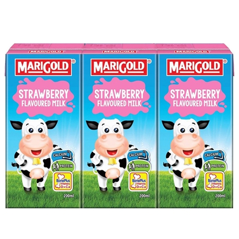 Sữa tươi Marigold vị dâu 1Y+