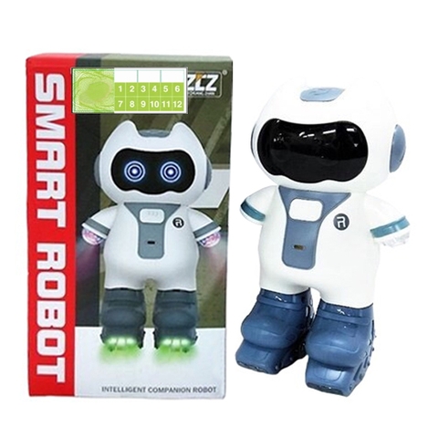 Hộp robo trượt băng LD66789