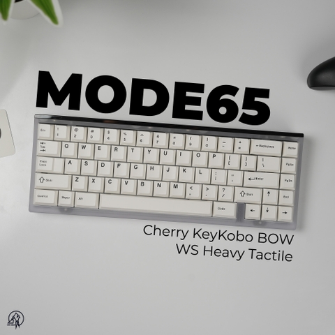 MODE65
