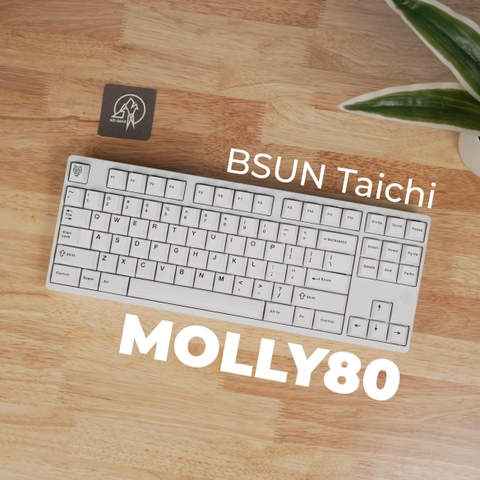 Molly80 Prebuilt