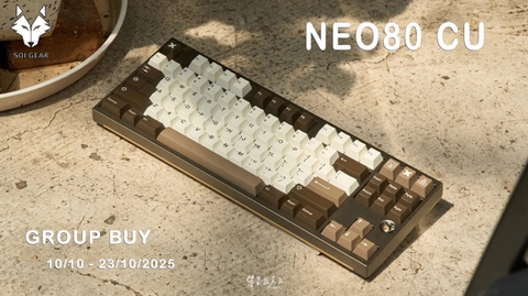 HDSD NEO80 CU