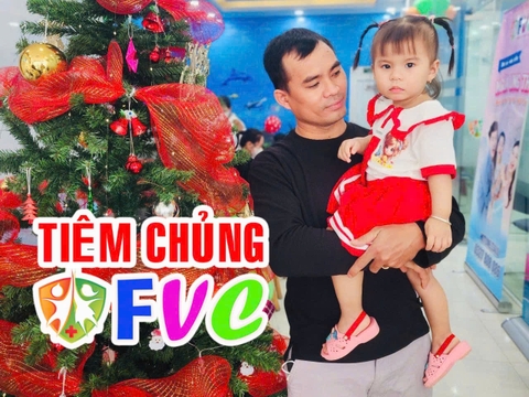 Muỗi Culex truyền bệnh gì? Cách phòng ngừa nguy cơ lây nhiễm bệnh