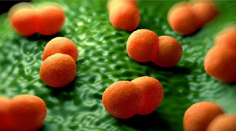 Lịch tiêm vắc-xin viêm màng não do não mô cầu BC