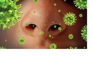 Vắc xin phế cầu Synflorix (bỉ)