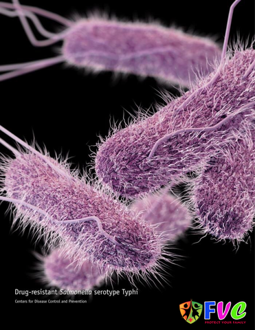 Bệnh thương hàn và vắc xin Typhim Vi phòng bệnh