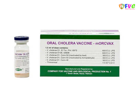 Những điều cần biết về dịch tả và vắc xin phòng bệnh