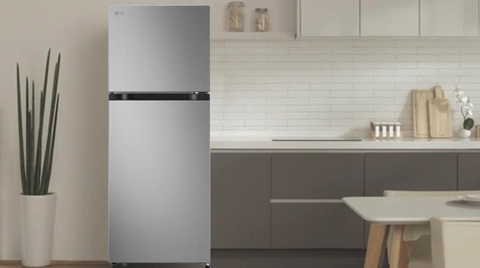 Tủ lạnh LG 217 lít LTB21SVMD