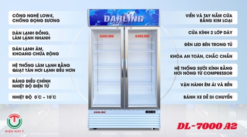Tủ Mát Darling 630 Lít DL-7000 A2