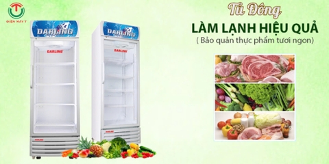Tủ mát Darling Inverter 450L DL-4000A3