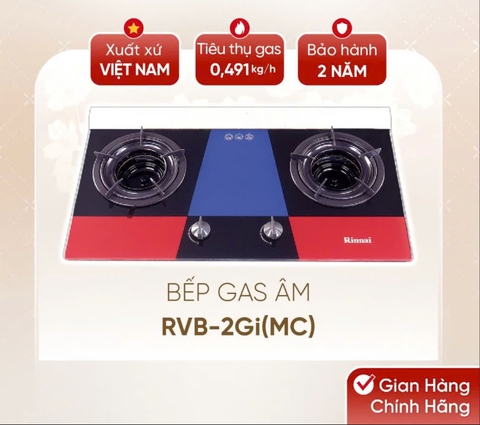 Bếp gas âm Rinnai RVB-2Gi(B) /(MC)