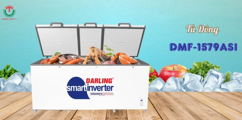 Tủ đông 1 ngăn Smart Inverter Darling 1700 Lít  DMF-1579 ASI