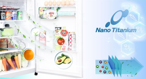 Tủ Lạnh HITACHI 230 Lít R-H230PGV7 (BBK)