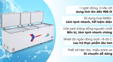 Tủ đông Sanaky 900 lít VH-1199HY