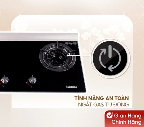 Bếp gas âm Rinnai RVB-2Gi(B) /(MC)