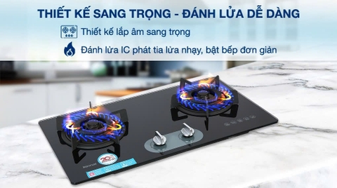 Bếp ga âm Rinnai RVB-220G(BG) / (B)