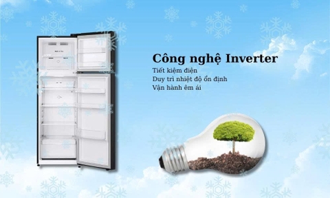 Tủ lạnh LG Inverter 266 lít LTB26BLM