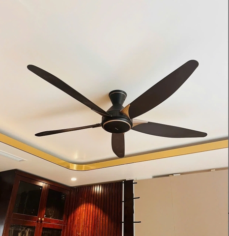 Quạt Trần Panasonic 5 cánh F-60GDS-B